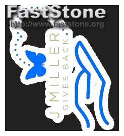 Do I Really Need a Logo